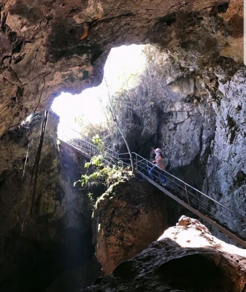 TOUR 3D/2N SELVA CENTRAL