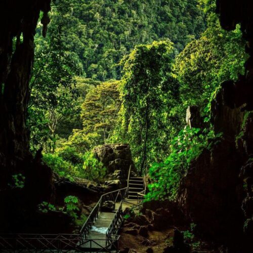 TOUR 4D/3N TINGO MARIA